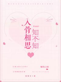 玲珑骰子相思豆入骨相思知不知意封面