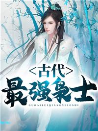 林云叶婉清小说叫什么名封面