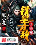 铁掌无敌王小军免费阅读小说封面