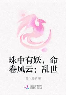 四大美女大学生的悲剧小说封面