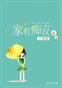 闻妻有两意小说封面