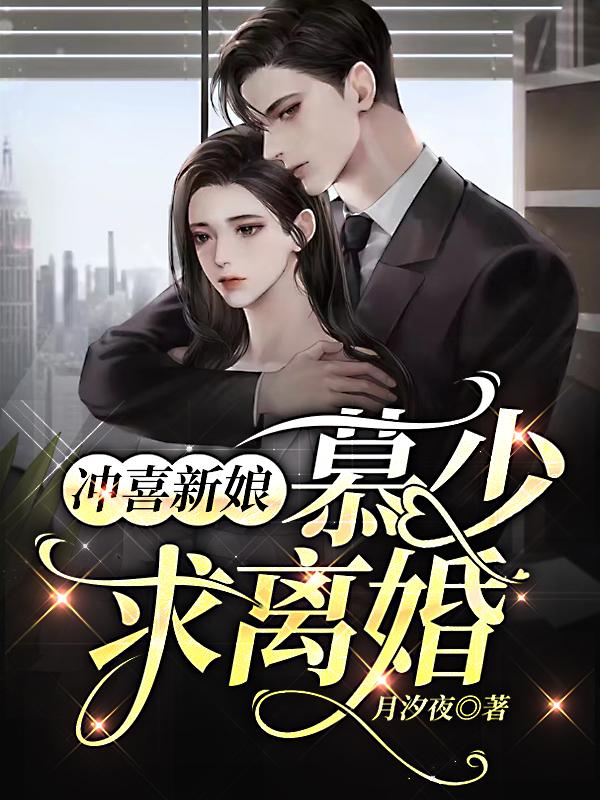 戴流苏耳环的少女剧情介绍封面