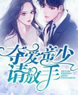 女主叫林辛言男主叫宗景灏的小说封面