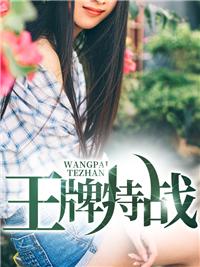 杀神守夜人百科封面