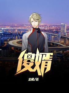 傻婿陈阳白亦清小说阅读网站封面