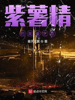 紫薯精的美漫之旅123封面