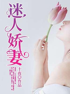 多余的中间者封面