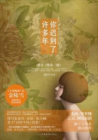 你迟到了许多年封面