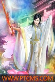 现代香妃小说封面