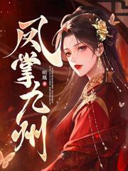 凤掌九天封面