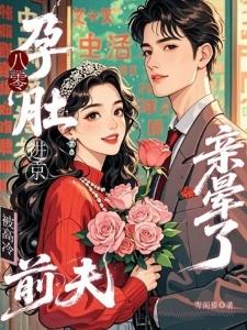 姜眠陆衡封面
