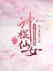 云倾晚轩辕夜免费阅读封面