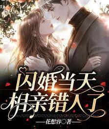 顾乔陆战霆全文免费阅读大结局封面