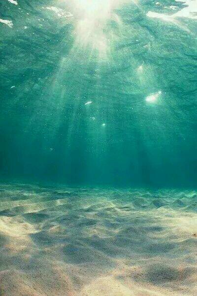 林枫林雪热文封面