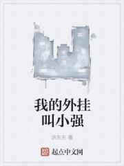 橙河思小说封面